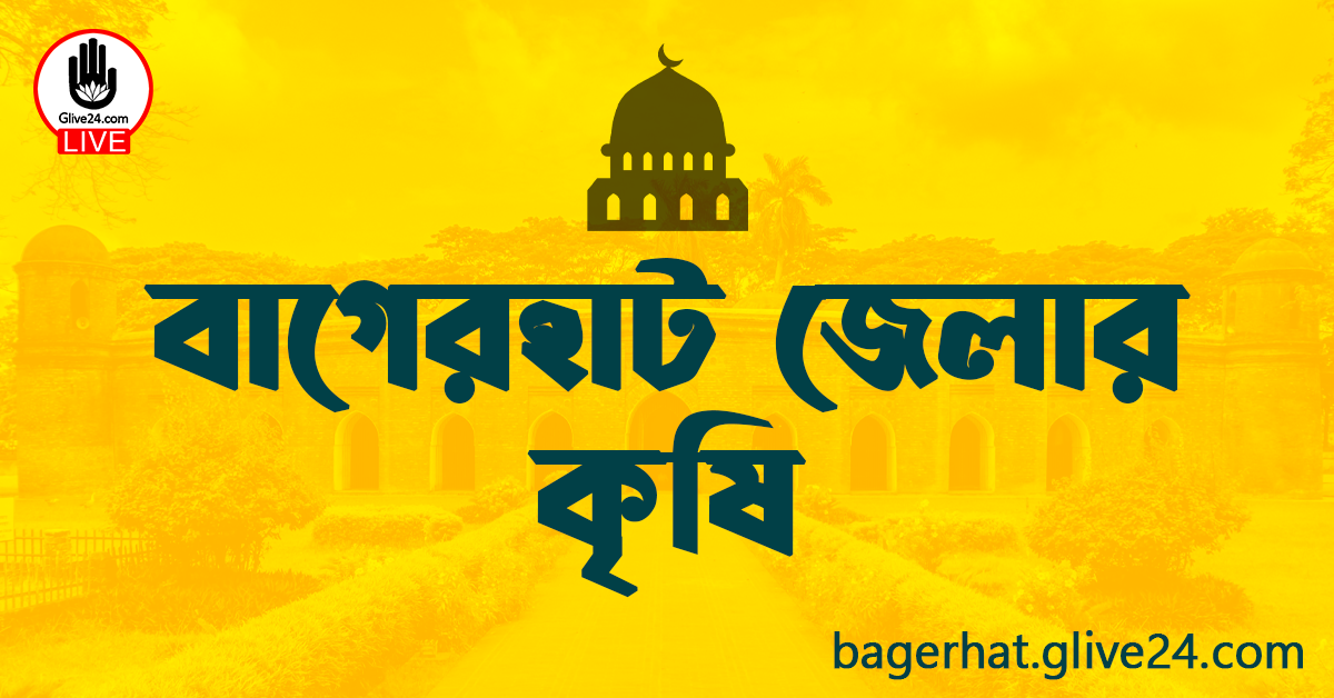 বাগেরহাট জেলার কৃষি