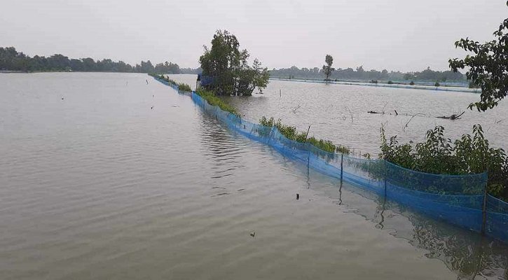 বাগেরহাটে টানা বৃষ্টি বাগেরহাটে টানা বৃষ্টি, ভেসে গেছে ৭ হাজারের বেশি মৎস্যঘের