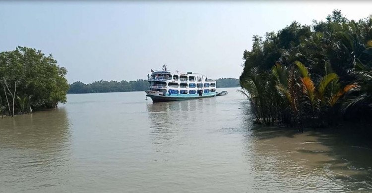 সুন্দরবনের দ্বার খুললো তিন মাস পর 1 সুন্দরবনের দ্বার সুন্দরবনের দ্বার খুললো তিন মাস পর